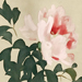 Koun Yamada Gallery